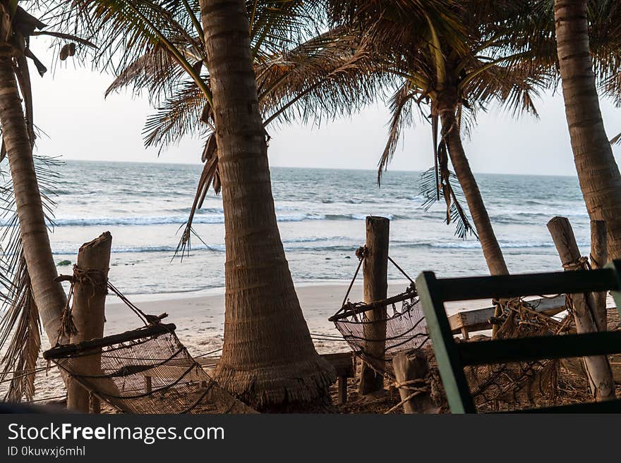 Two Brown Hammock Hanged in Coconut Trees in Front Seat