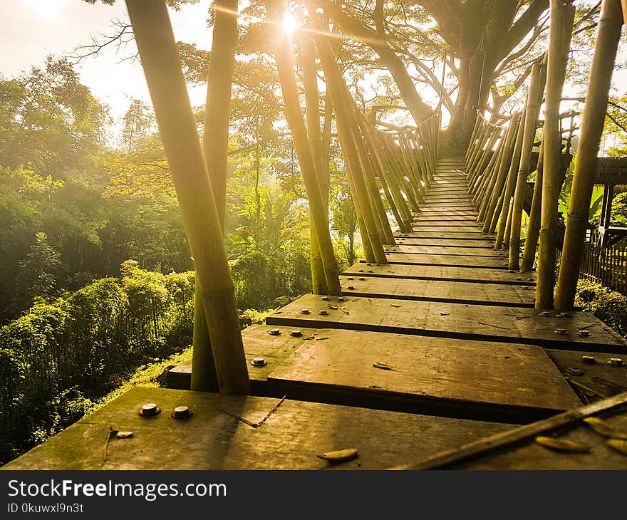 Brown Wooden Bridge Under Blue Sky