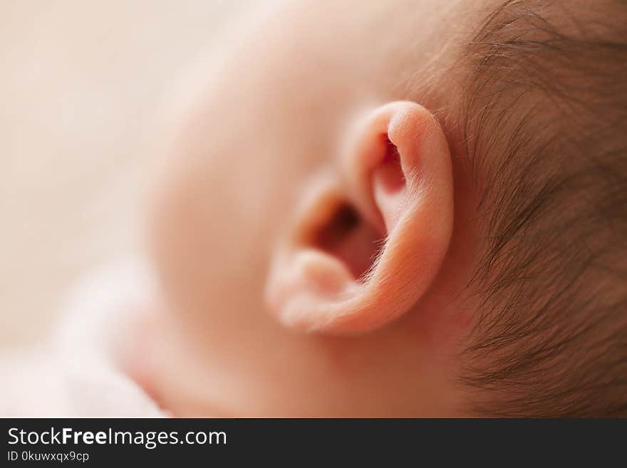 Macro Photography of babys Ear