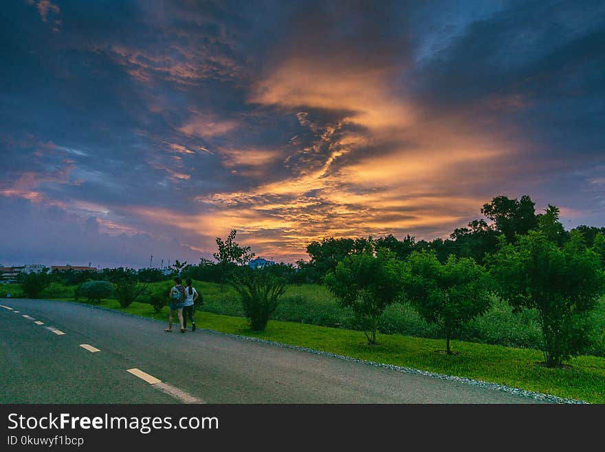 Two Person Walking on Road Beside Grass Field