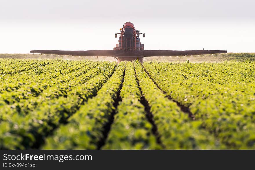 Tractor spraying pesticides on soybean field with sprayer at spring