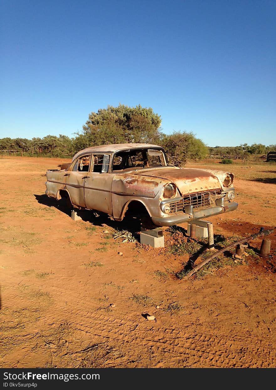 Motor Vehicle, Car, Ecosystem, Vehicle