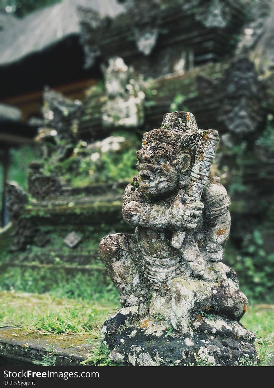 Tree, Temple, Sculpture, Rock