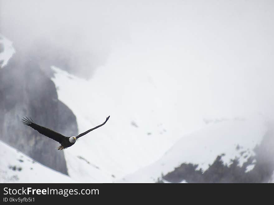 Geological Phenomenon, Sky, Snow, Freezing