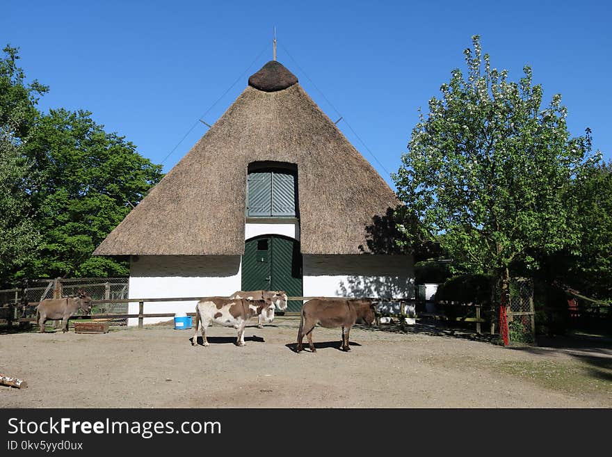 Historic Site, Thatching, Roof, Building