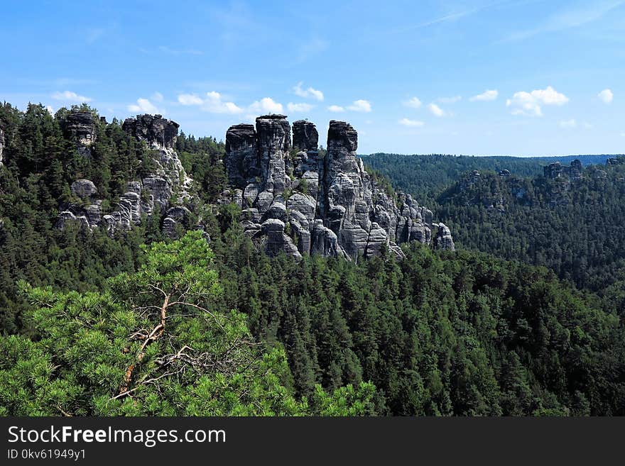 Vegetation, Rock, Nature Reserve, Ecosystem