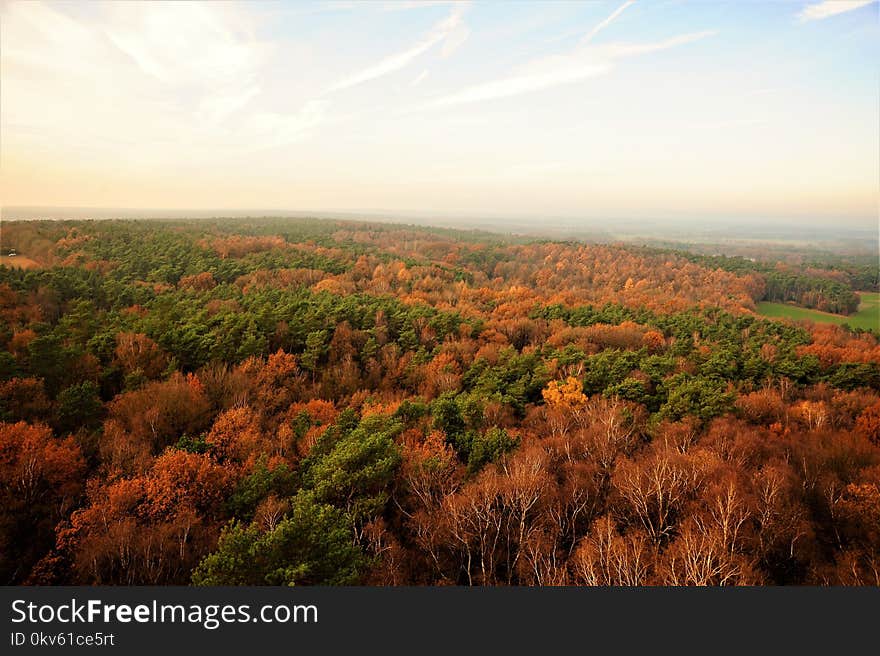 Ecosystem, Sky, Wilderness, Vegetation