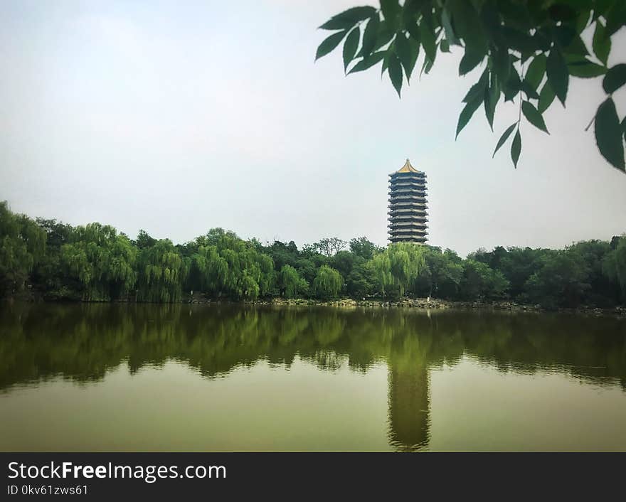 Reflection, Nature, Body Of Water, Water