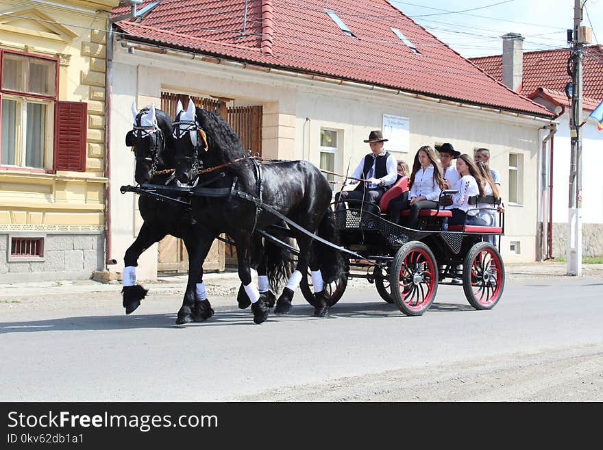 Carriage, Horse And Buggy, Horse Harness, Wagon