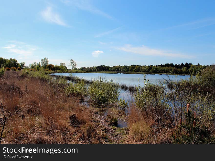 Ecosystem, Wetland, Nature Reserve, Wilderness