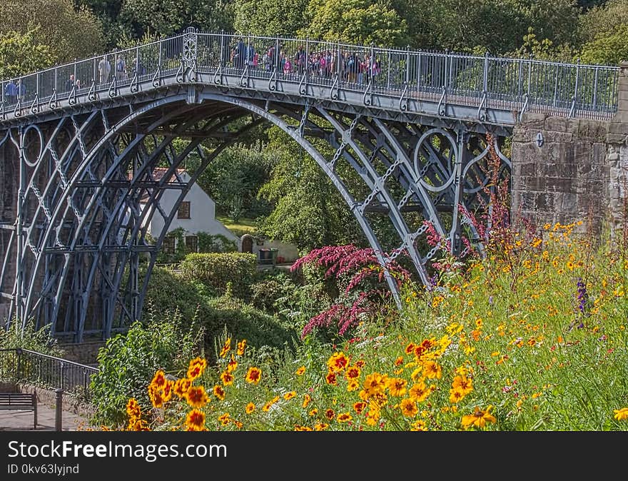 Bridge, Plant, Leaf, Arch Bridge