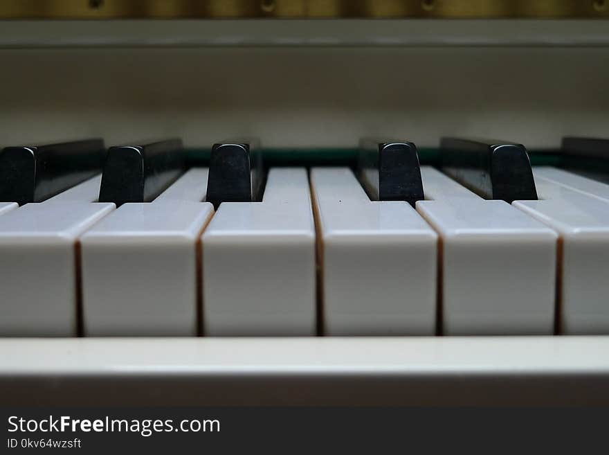 Piano, Musical Instrument, Keyboard, Technology