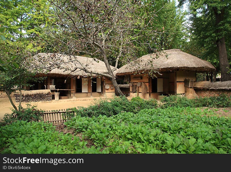 Thatching, Nature Reserve, Hut, Cottage