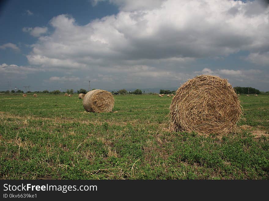 Hay, Field, Grassland, Straw