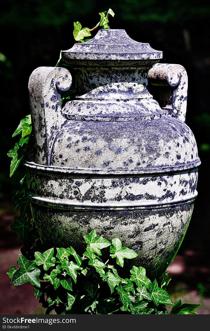 Green, Ceramic, Plant, Grass