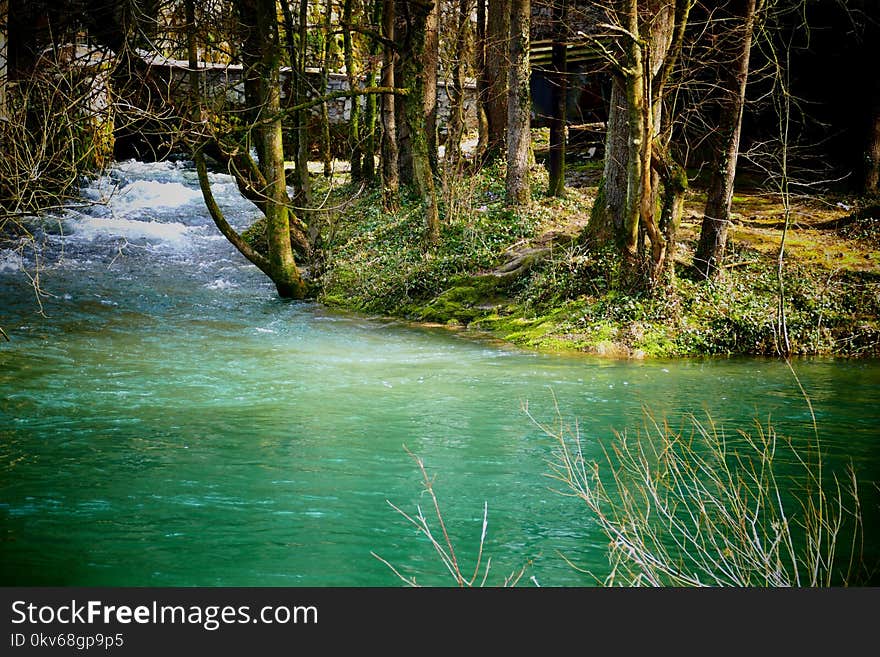 Water, Nature, Body Of Water, Nature Reserve