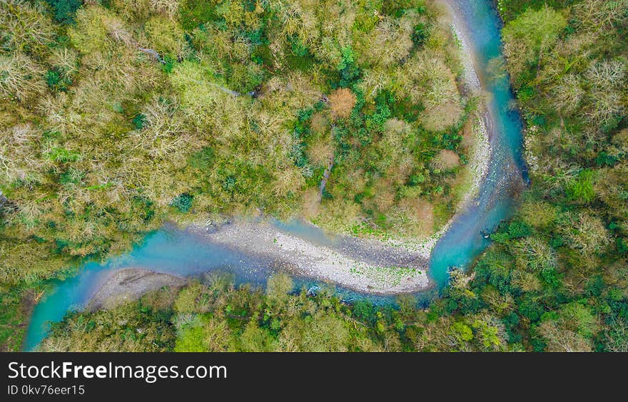 Drone view of Yew and Box-tree Grove, Sochi, Russia