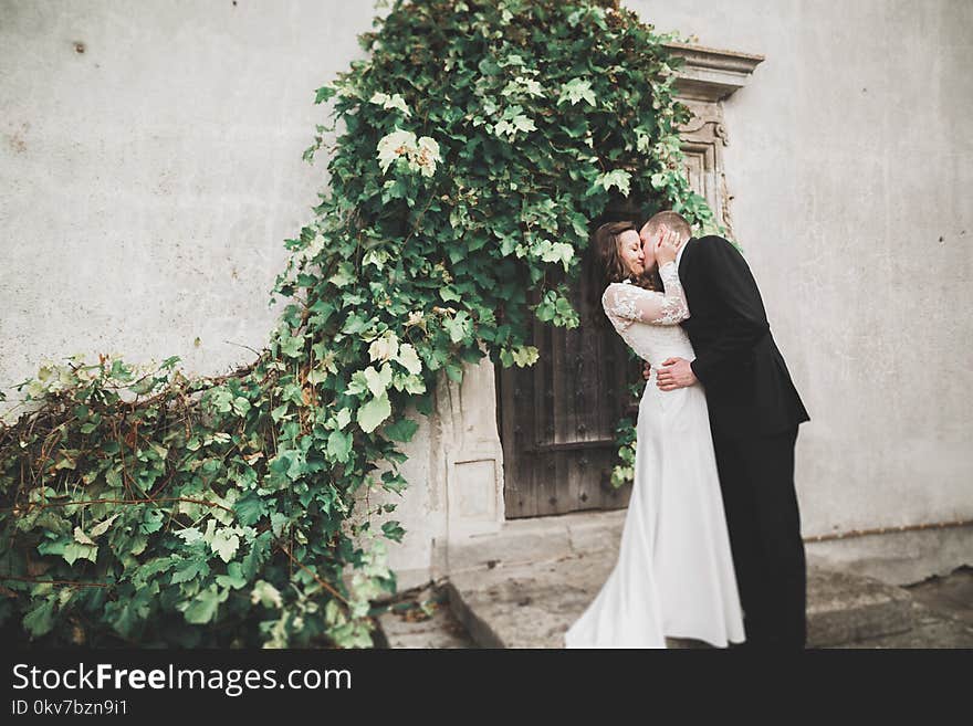 Sensual married couple, valentines hugging in front of old slavic castle