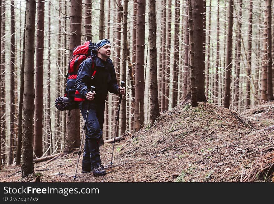 Active Healthy Man Hiking In Beautiful Forest