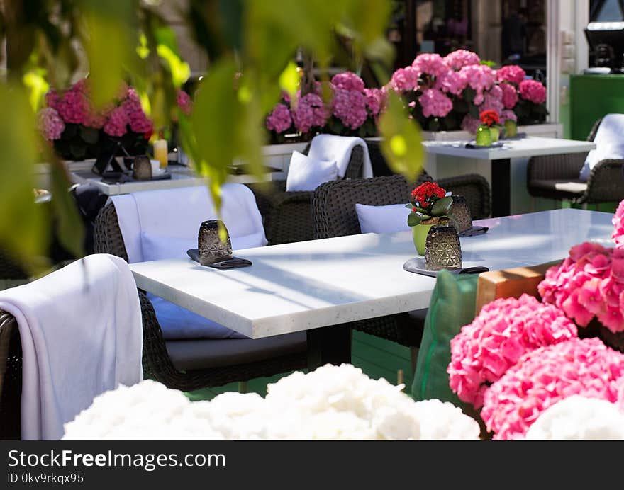 Street cafe table decorated with red hydrangeas. Street cafe table decorated with red hydrangeas