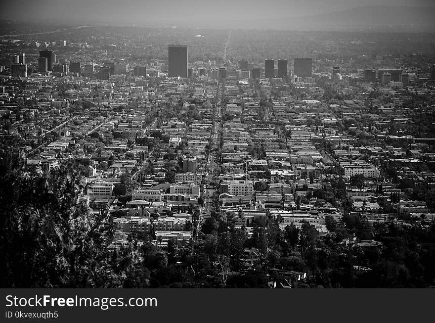 Grayscale Photo of High-rise Buildings