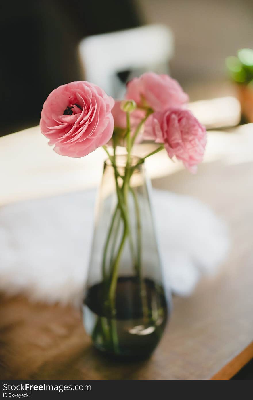 Shallow Focus Photography Of Three Pink Flowers