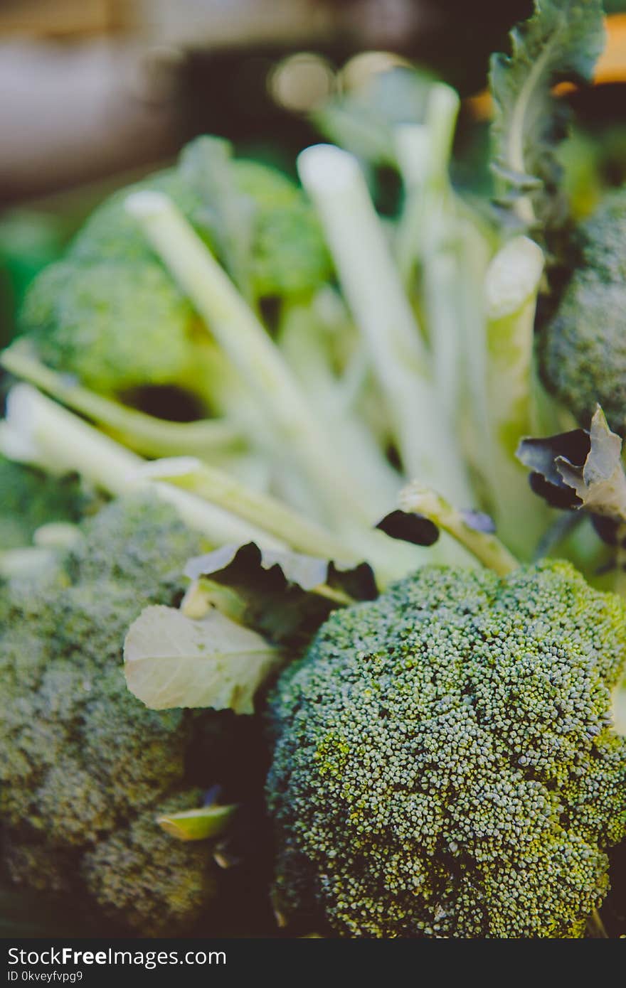 Selective Focus Photography of Broccoli