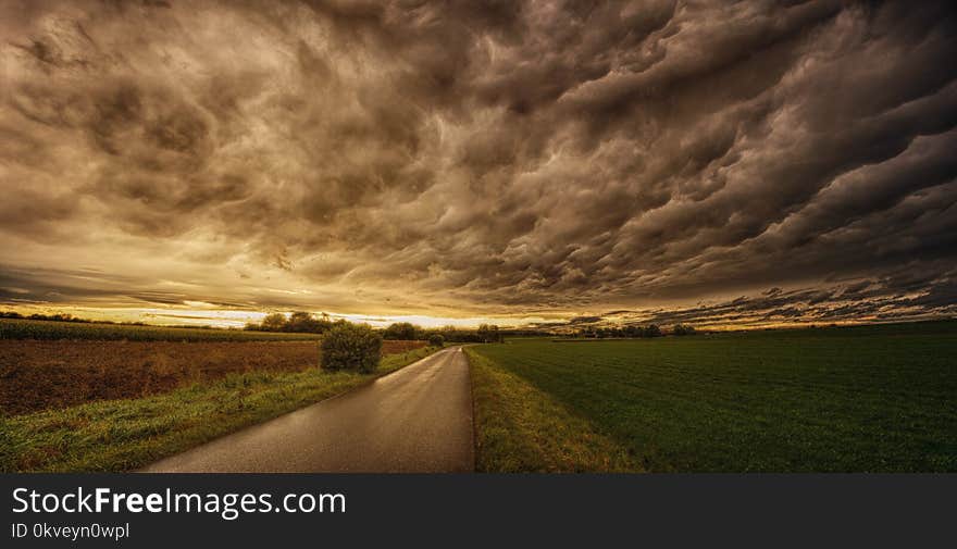 Road In Between Grass Field Under Grey Sky