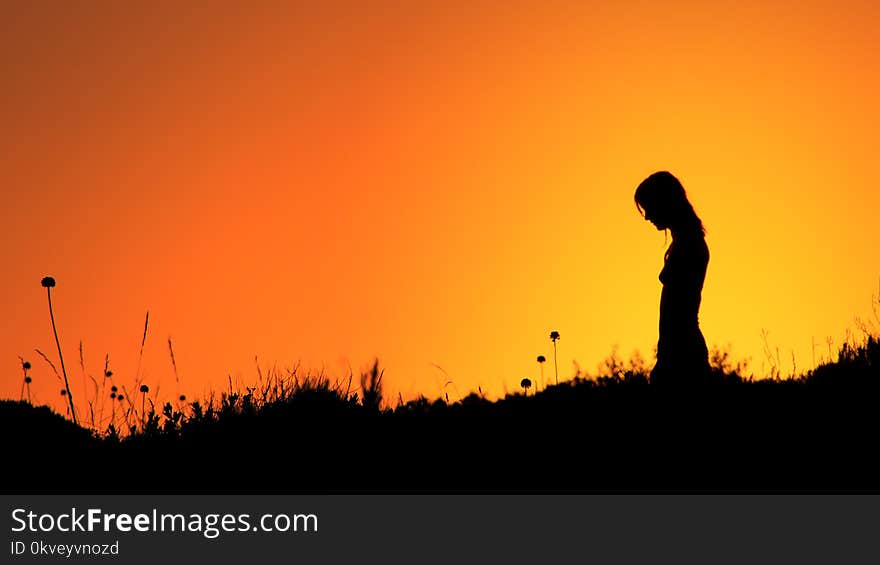 Silhouette Of Woman Standing On Grass Field During Sunset