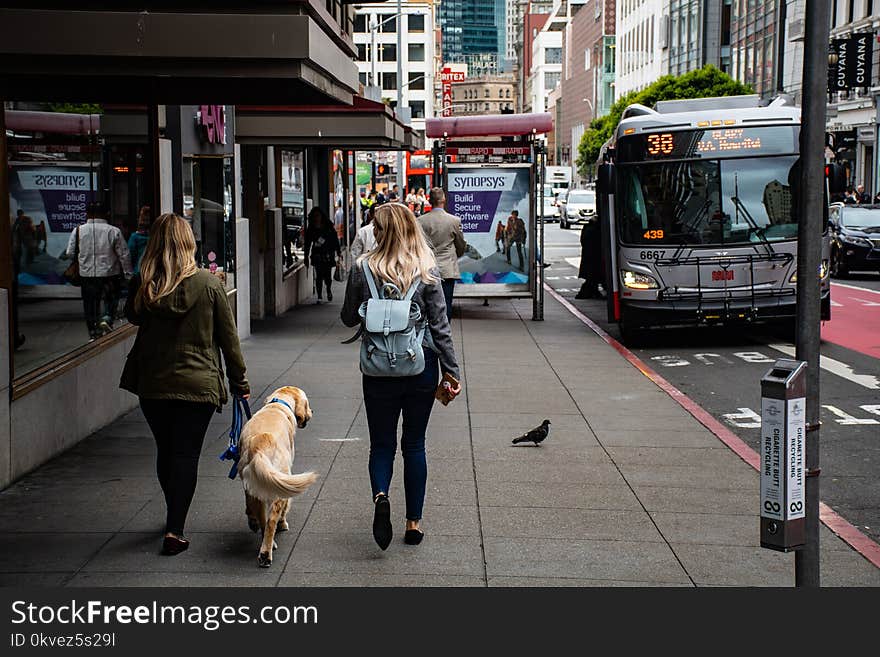 Women Walking On Side Street