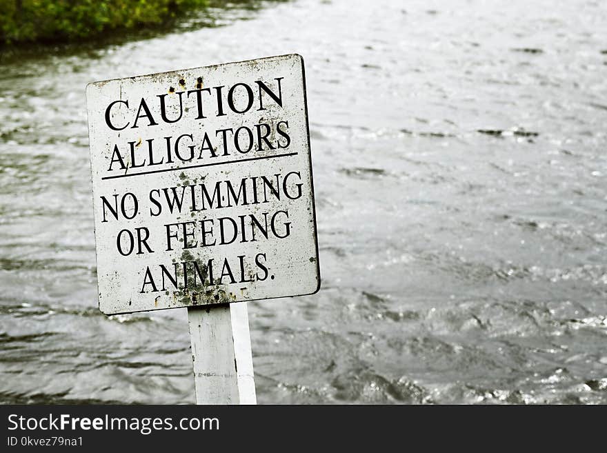 Gray Caution Alligators Label Panel