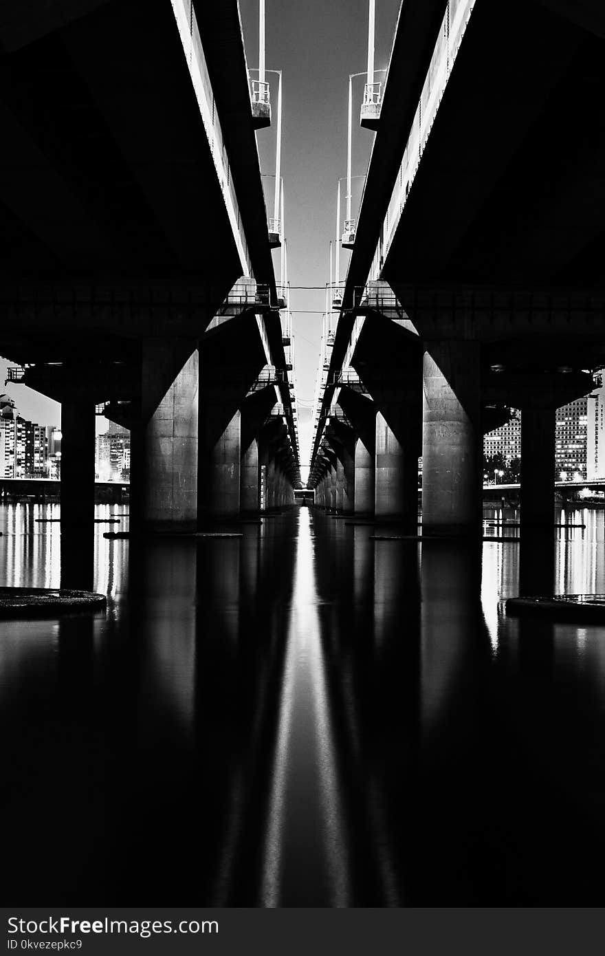 Greyscale Photography of Bridge