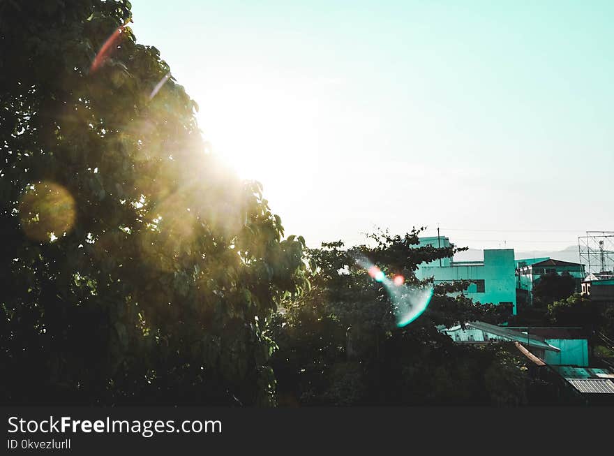 Green Concrete Building Near Green Leaf Trees