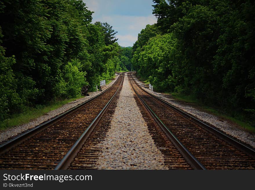 Brown Train Railway Between Green Trees at Daytime