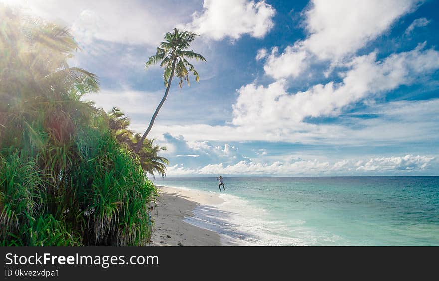 Person Running on Seashore Under White Clouds