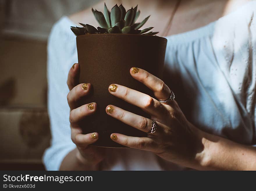 Person Holding Plant Pot