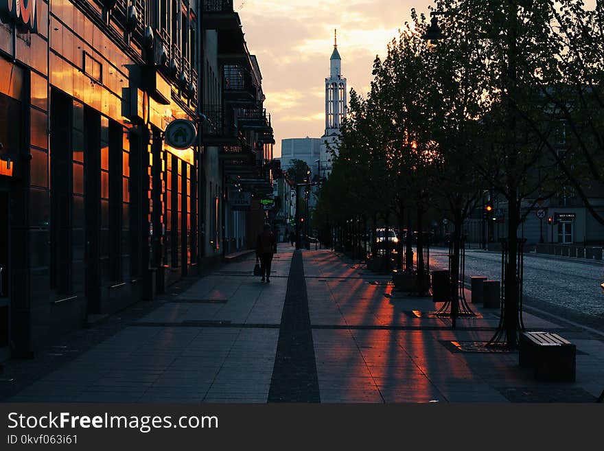 Person Walking on Gray Pavement Near Buildings during Golden Hour