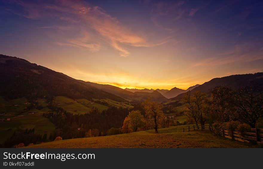 Landscape Photo of Trees during Golden Hour