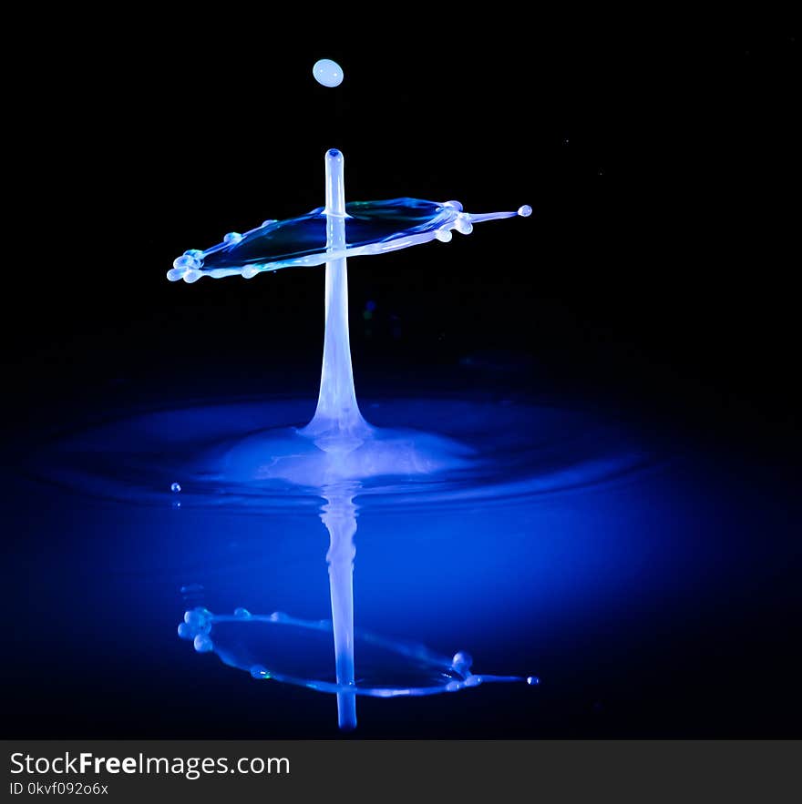 Selective Focus Photography of Drop of Water Photo