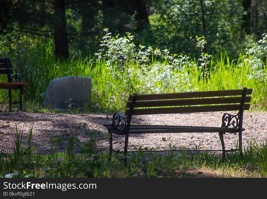 Photo of Wooden Bench on Park