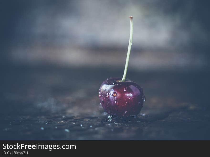 Shallow Focus Photography of Red Cherry