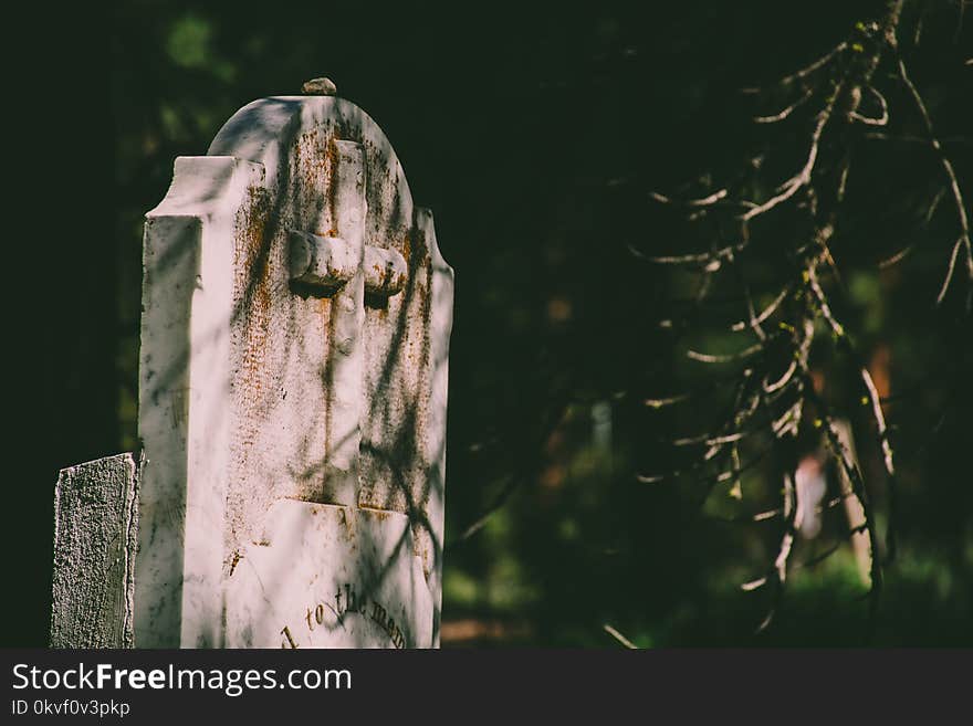 Selective Focus Photography of Tombstone