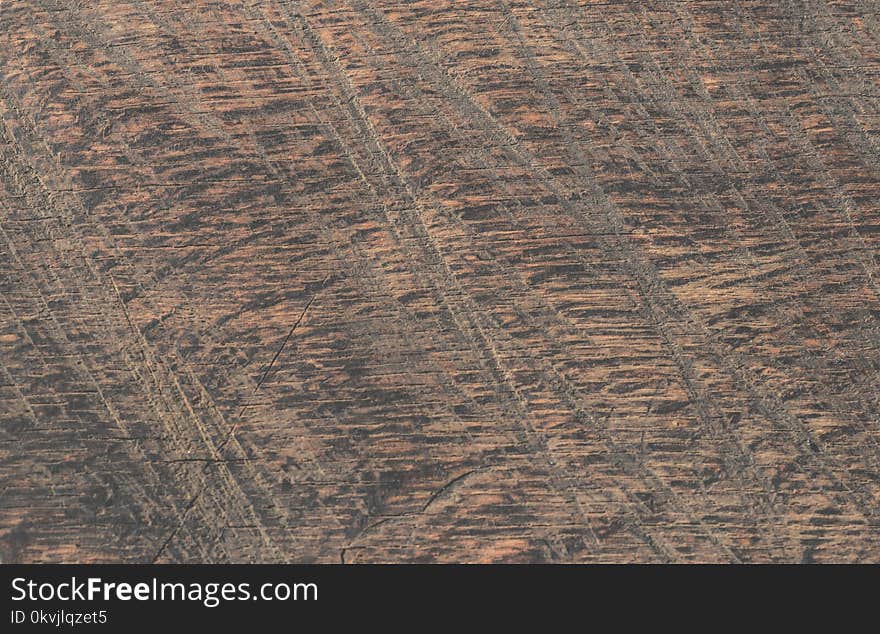 Wood, Brown, Texture, Geology