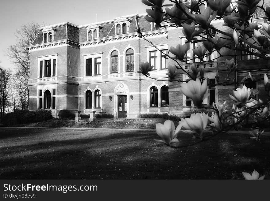 White, Black And White, House, Monochrome Photography