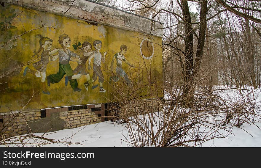 Yellow, Winter, Wall, Tree