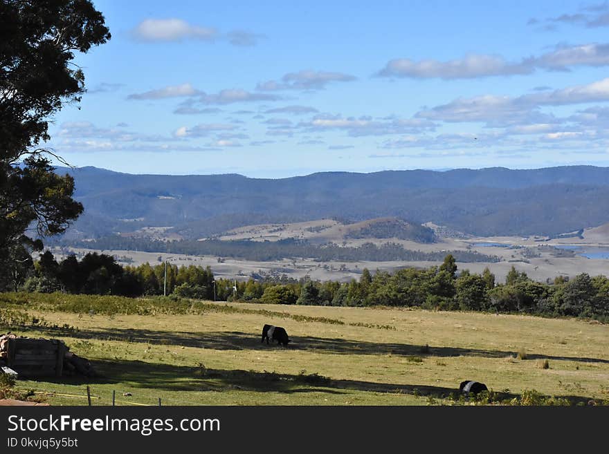 Highland, Sky, Grassland, Wilderness