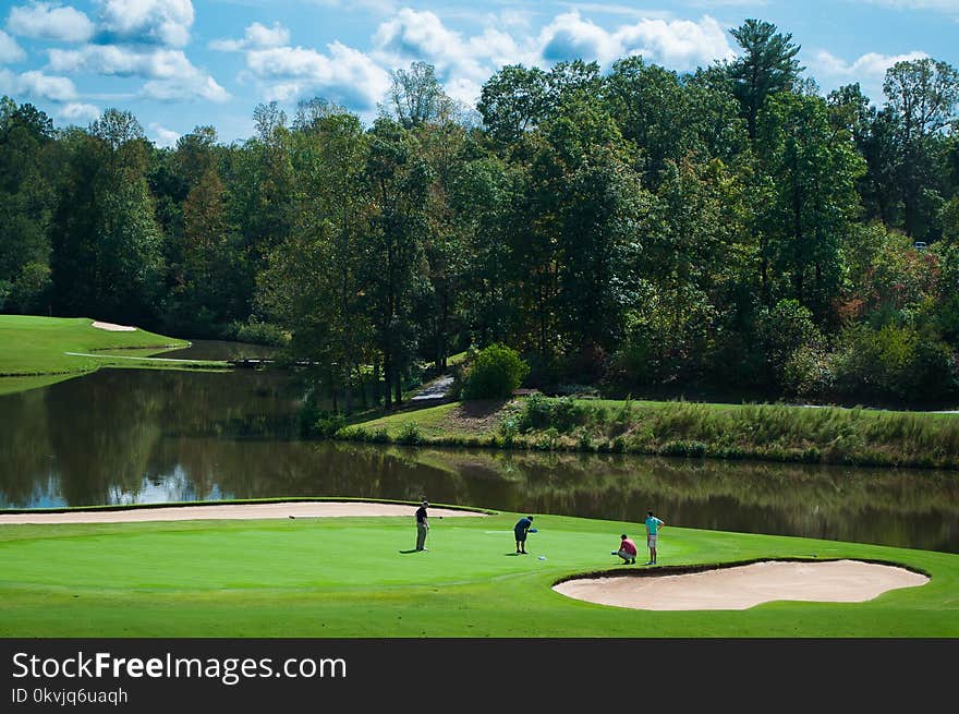 Nature, Golf Course, Golf Club, Grass