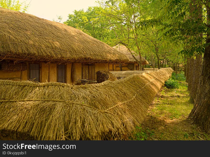 Thatching, Hut, Grass, Agriculture