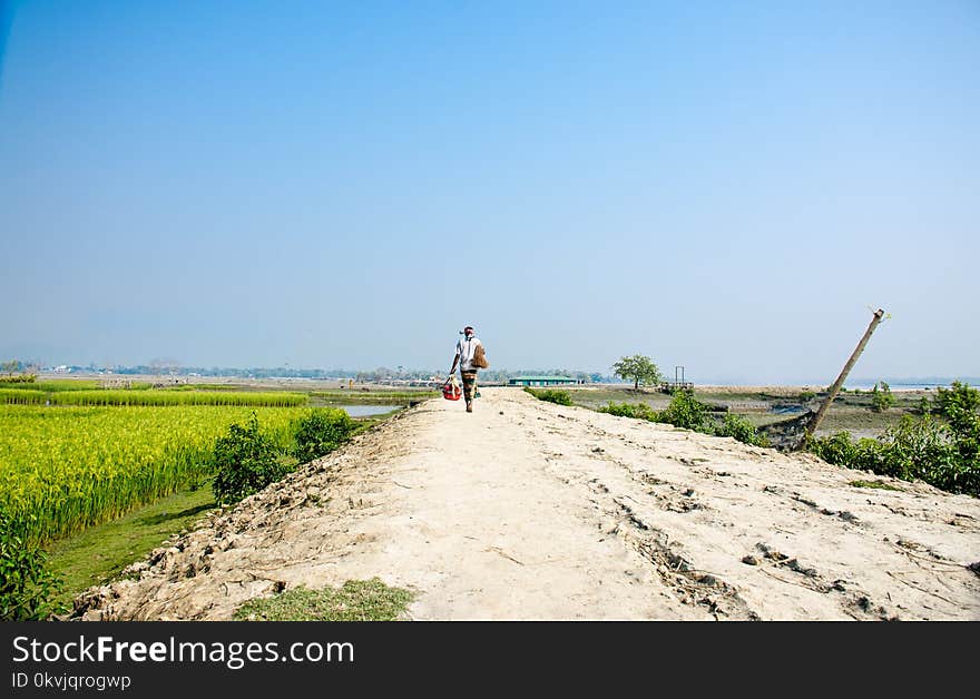 Sky, Field, Road, Agriculture