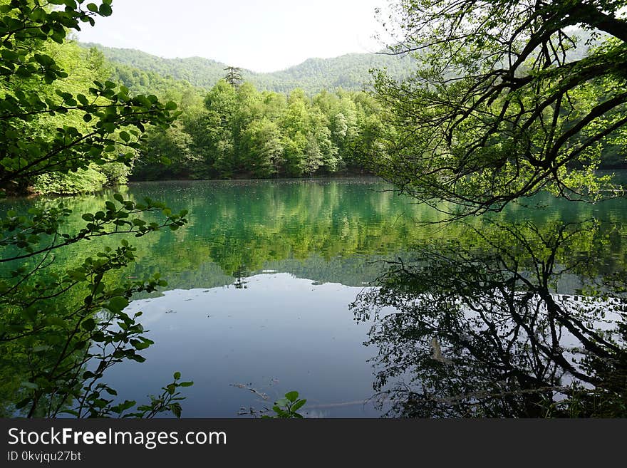 Reflection, Nature, Water, Vegetation